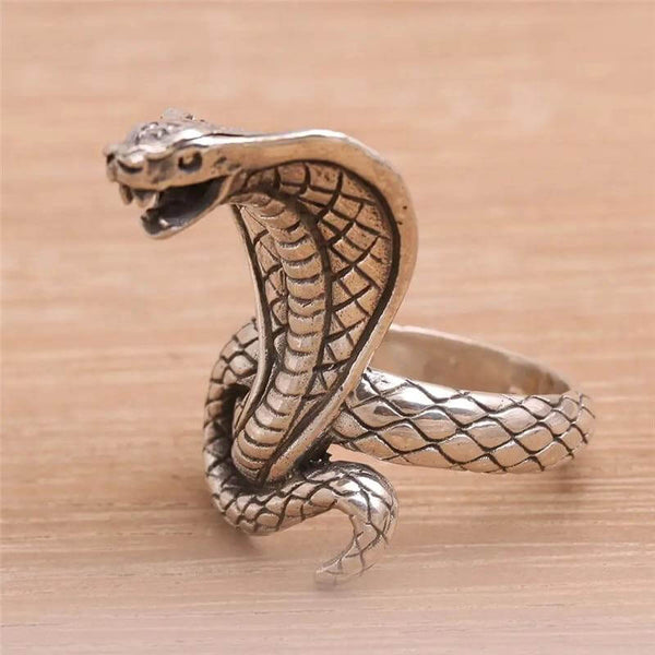 Captivating Snake Ring – Super Silver