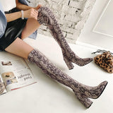 Snake-Print-Boots-Eclipse-woman