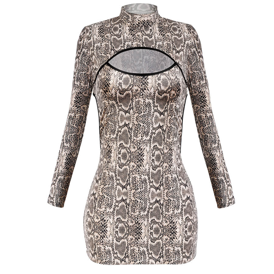 Snake Print Dress Fortuna